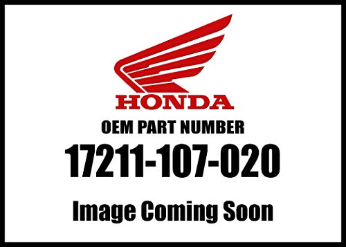 CL100 K0-K2 Honda Filtro CB100 CB125 CL100 CL125 SL100 SL125 XL100 XR75 aria OEM