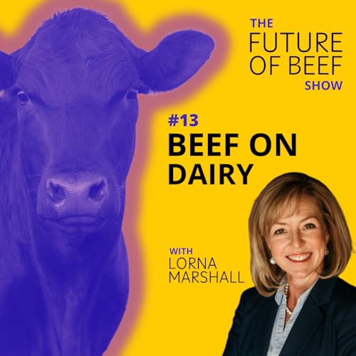 E13: Beef on Dairy with Lorna Marshall