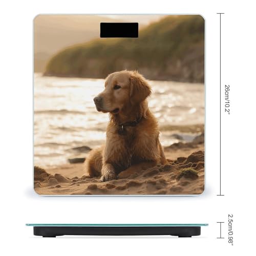 Báscula Digital de Baño Retriever de Vidrio Templado miniatura 2