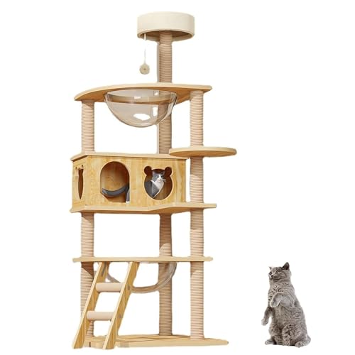 _ȖؐLbgc[A^LpA^AwLbgXNb`vCnEXAANh[tLbg^[AXNb`|XgAKȃgbvp[`