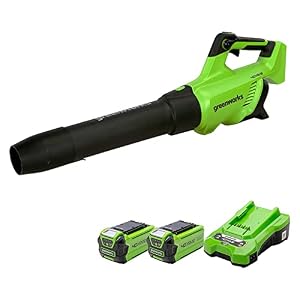Greenworks GD40ABK2X Cordless Axial Leaf Blower with Brushless Motor, 210km/h, 15.6 m³/min, Two of 40V 2Ah Batteries & Charger, 3 Year Guarantee