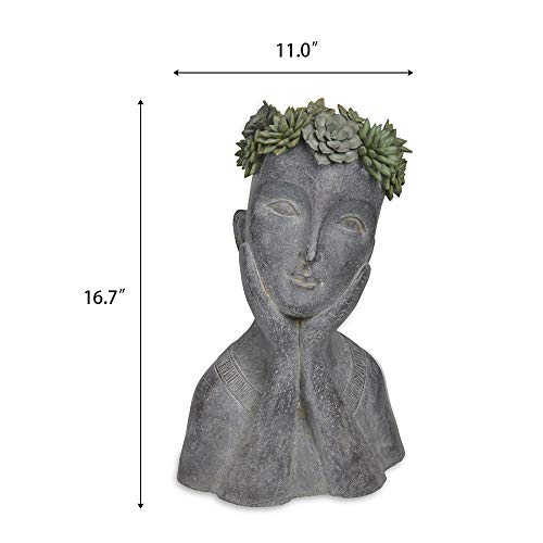 Newman House Studio Face Cactus Succulents Planter Pot - Indoor Outdoor Planter With Drainage Hole Garden Statues Cute Plants Pot Flower Pot Farmhouse Decor 11 * 8.5 * 16.5 Inch #TOP5