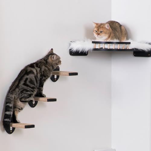 COOLEX 3 degraus de parede para gatos, móveis para gatos escalando na parede, prateleiras de parede