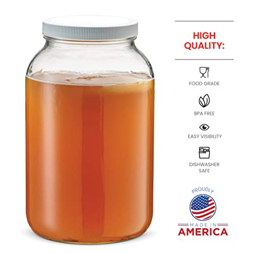 Paksh Novelty 1-Gallon Glass Jar Wide Mouth with Airtight Plastic Lid - USDA Approved BPA-Free Dishwasher Safe Mason Jar for Fermenting, Kombucha, Kefir, Storing and Canning Uses, Clear (4 Pack)