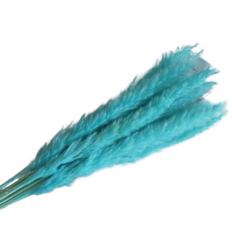 Pampas Grass Large 15 Pcs Flores Secas Naturales Decoración miniatura 1