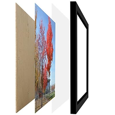 Medog 11 by 17 Inch Picture Frame without Mat to Display picture 11x17 Wall Mounting Document Certificate Frames If Add Mat Can As 11x14 10x14 9x11 10x12 8x10 7x11 7x9 6x8 Picture Frame P1H