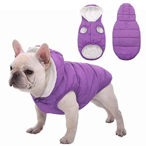 Veste chaude pour chien SAWMONG imperméable violet pour chiot actif - 2
