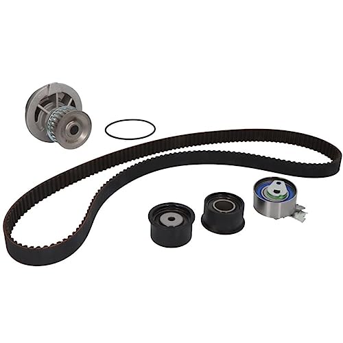 Ina 530 0049 30 - Pompa Acqua + Kit Cinghie Dentate