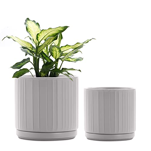 FairyLavie Maceta de cerámica 20+16,5 cm Gris Cover
