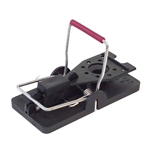 Preisvergleich Produktbild Detia - Schlagfallen für Mäuse