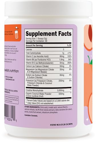 Image of Wellah Creatine + Electrolytes Powder (White Peach Nectarine) 30 Servings - Hydration Drink Mix with 3g of Creatine Monohydrate