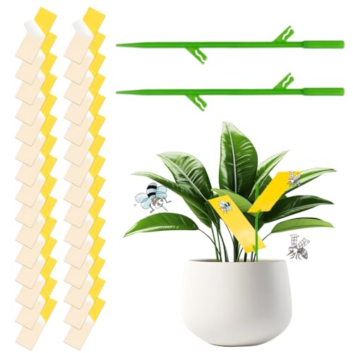 MOLZINY 30 PCS Anti Moucherons Plantes Interieur Pièges à Insectes piège à mouches des fruits pièges à mouches collants pièges à mouches tueur Catchers à mouches double face pour d’intérieur plantes