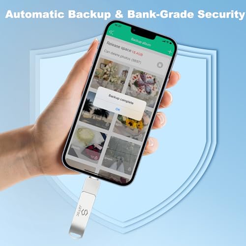 Clé Photo 128 Go pour iPhone et iPad extension de stockage USB Lightning
