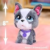 Just Play furReal Walk-A-Lots French Bulldog, interaktives Spielzeug, 20,3 cm großer, laufender Plüschwelpe mit Soundeffekten, 4-teilig, Kinderspielzeug ab 4 Jahren, 22.86