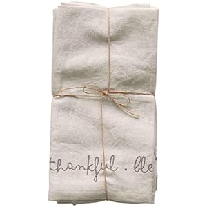 Creative Co-Op 18 Square Embroidered Grateful Thankful Blessed Cotton/Linen Woven (Set of 4 Pieces) Napkins Blue 4