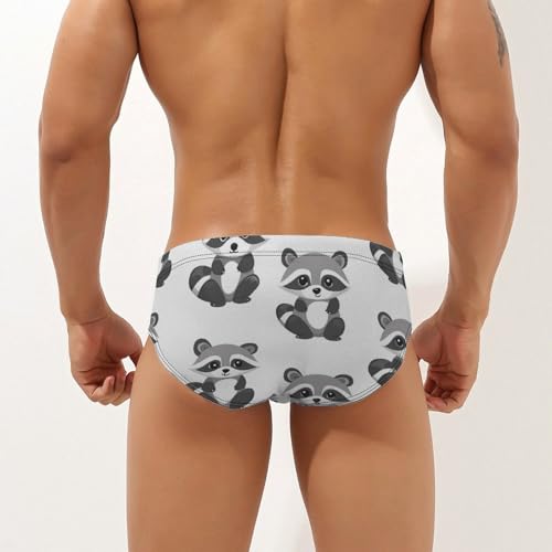 Gray Raccoons Pattern Mens Swim Briefs Bikini Sexy Low Rise Trunks Swimsuit Bathing Suit Beach2