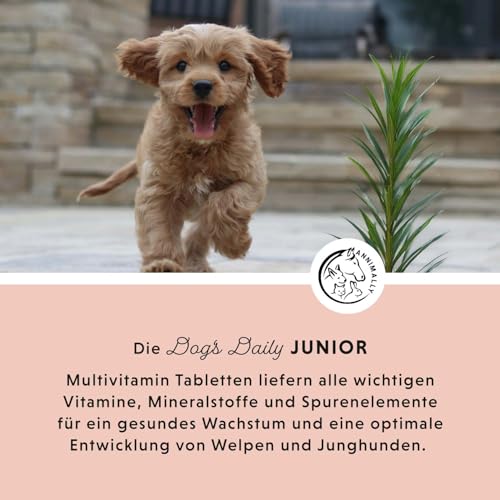 Annimally Dog's Daily Junior - Multivitamin Tabletten für Welpen & Junghunde, Vitamin B Komplex mit Calcium & natürlichen Pflanzenstoffen, 85 Stück