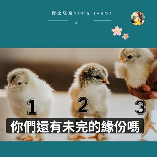 【塔羅占卜】你們還有未完的緣分嗎？｜愛情占卜｜櫻之塔羅 Yin&rsquo;s Tarot