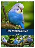 Der Wellensittich - Mein Lieblingsvogel (Wandkalender 2023 DIN A3 hoch), Calvendo Monatskalender