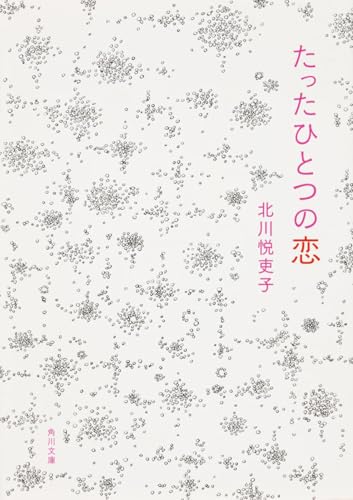たったひとつの恋 (角川文庫 き 22-22)