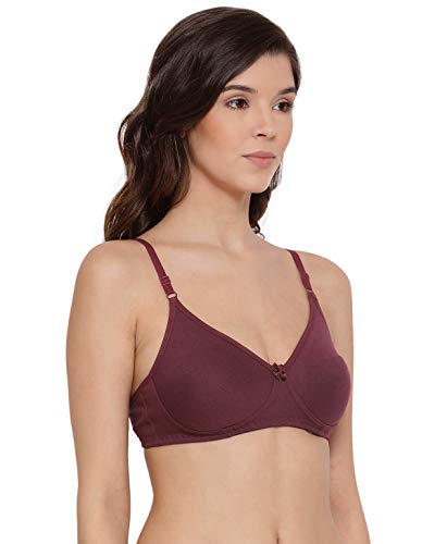 Image of Lyra Women's Cotton Non Padded Wire Free T Shirt Bra