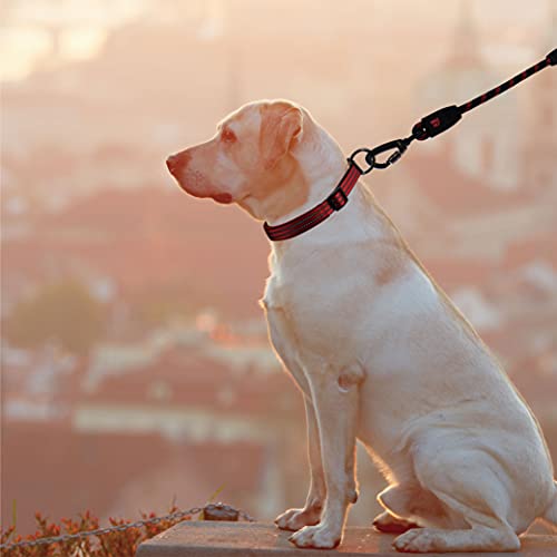 Kruz Short Traffic Leash - Kzrope5020-03L - Soft Silicone Grip - Click & Lock Snap - Heavy-Duty Reflective Dog Rope For Security, Safety And Control - Walking, Running, Training - Red - 1/2" X 20" #TOP5
