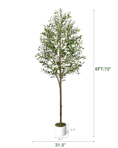 Variant 4