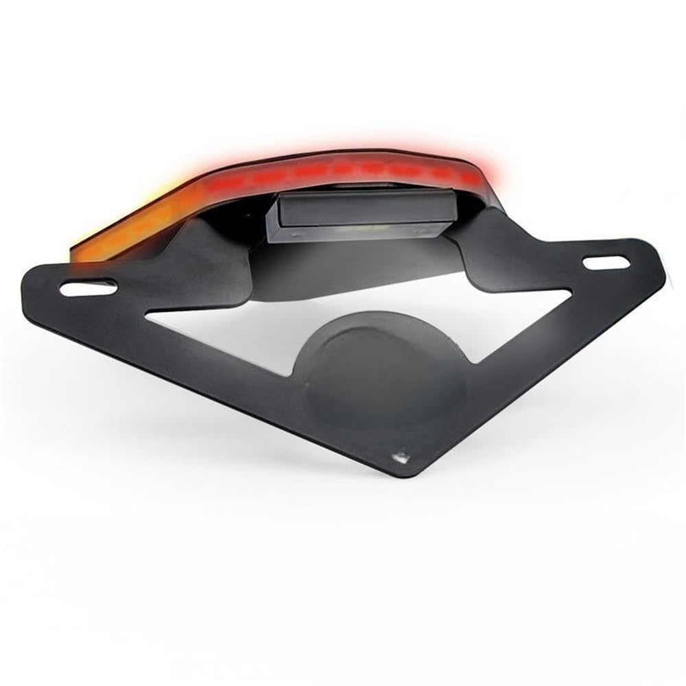 DDGBERFP For S1000RR 2020-2022 Motorcycle Rear License Plate Frame Short Tail License Plate Frame