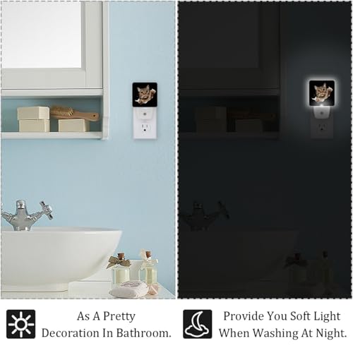 Image of NEWzone Cat Night Light [2 Pack], Plug in Wall Led Night Lights Decor for Boys Girls Room, Dusk to Dawn Sensor Wall Lamp for Stairway /Bedroom /Kitchen /Nursery Room