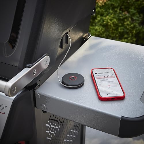 Weber Smart Thermometer mit Grillrost- und Fleischfühler - misst Grill- und Kerntemperatur für Garen – Schwarz (3400590)