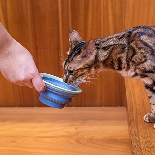 Comedouro e Bebedouro Portátil para Pets Azul - Oikos Animal