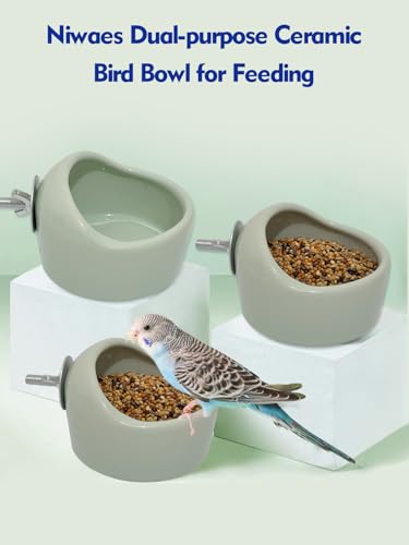 Niwaes 2PCS Birds Feeding Dish Cups Ceramic Bird Cage Food Bowls, Bird Cage Feeder Hanging Parrot Food Bowl for Budgie Finches Lovebirds Cockatiels (Green)