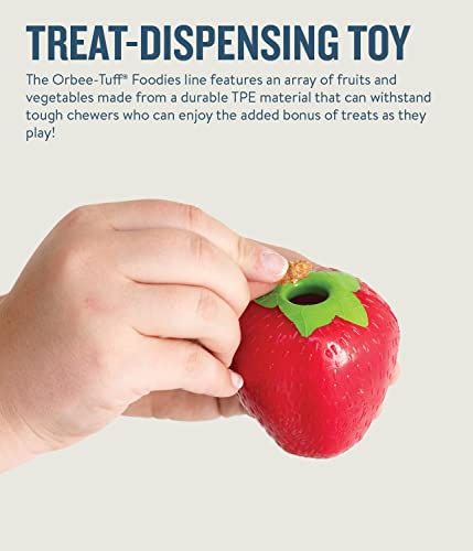 Planet Dog Orbee-Tuff Strawberry Treat-Dispensing Dog Chew Toy #TOP4