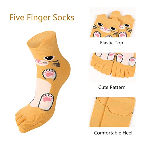 Benefeet Sox Meias femininas engraçadas com cinco dedos, meias de algodão separadas para corrida, at
