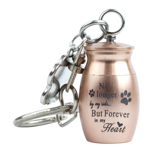 prendre ybg ⍜ JvZ ~jJvZ L[z_[  ⍜ A ybgiXJ  `[t isNS[hj PR-MORIAL-PK