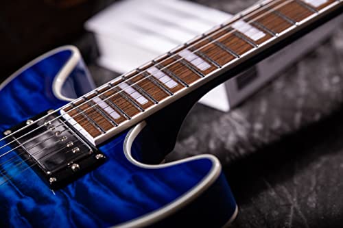 Grote Gt339 Semi-Hollow Body Electric Guitar (Blue) #TOP4