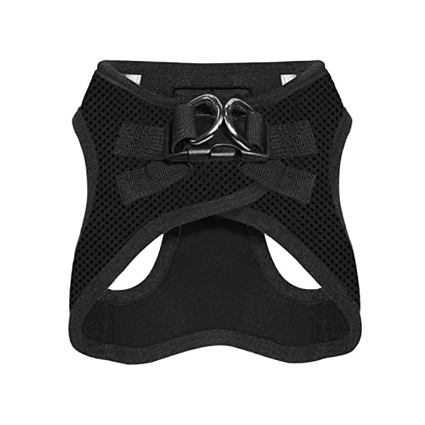 Voyager Step-in Air Dog Harness – All Weather Mesh Step in Vest Harness for Small and Medium Dogs by Best Pet Supplies – Harness (Black), Small Voyager Step-in Air Dog Harness – All Weather Mesh Step in Vest Harness for Small and Medium Dogs by Best Pet Supplies – Harness (Black), Small