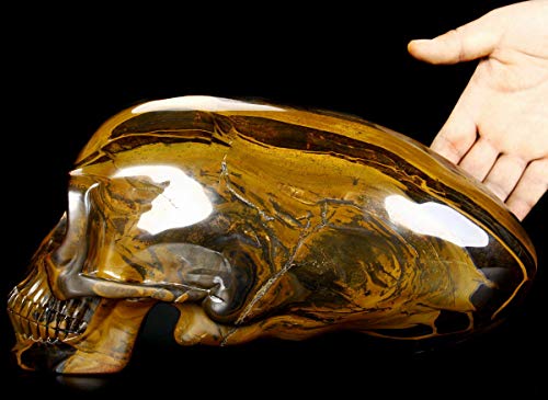 Skullis 11.8" Gold Tiger Eye Crystal Alien Skull, Hand Carved Gemstone Fine Art Sculpture, Reiki Healing Stone Statue. #TOP3