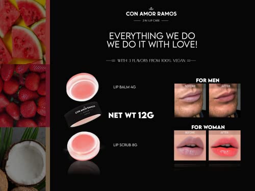 Con Amor Ramos 2 In 1 Lip Care (Lip Balm And Lip Scrub) (Coconut) (Unisex - Vegan Friendly) (12 Grams) (Not Tested On Animals) #TOP6