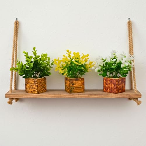 Image of DecoreBugs Artificial Eucalyptus Mini Potted Fake Plants, Wooden Pot, for Home Decor, Office Desk, Tabletop, Wall Shelves, Pack of 3