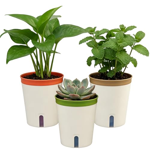 TEYIAN 14.5cm Self Watering Plant Pot Indoor 3 Pack Plastic Flower Pot Modern Decorative Garden Planter Pots for Herb Orchid Aloe Succulent Plants