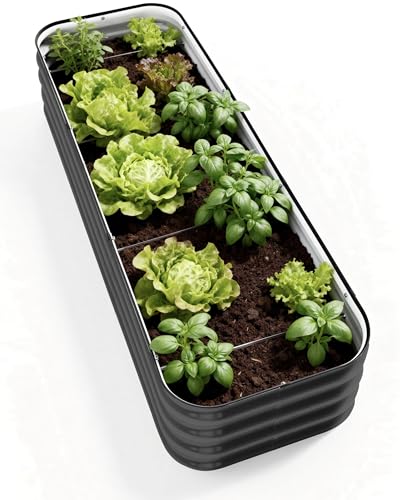 DaisyVibe Raised Garden Bed Kit (8ftx2ftx1ft)