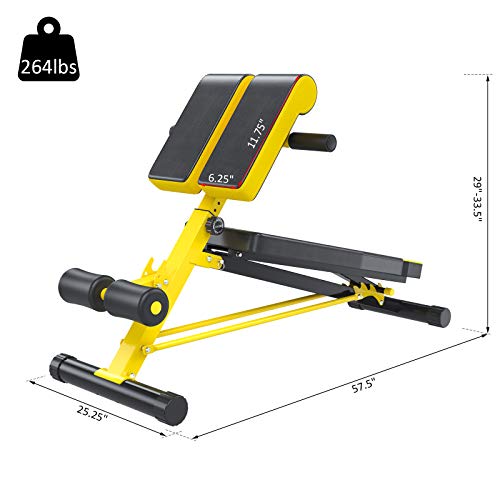 Soozier Folding Adjustable Hyper Extension Bench Dumbbell Weight Ab Multifunction Workout Press