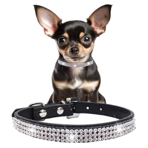 ^p̍LL̎ցAt@V[_ChCXg[L̎փOb^[NX^΂ŏꂽ̎qq̎XXS Xsp^^i폗ybgqLAS