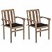 Fest-night Silla de Jardín 2 Piezas con Cojines, Sillones de Interior y Exterior, Sillón de Madera Apto para Pogar, Oficina, Bar y Cafetería
