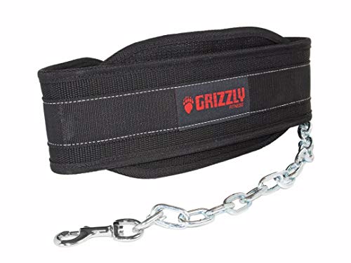 Grizzly Fitness Premium Nylon Dip, Pull Up And Chin Up Belt For Weight Lifting, Weight Training And Body Building By Men And Women | Used By Pros | Reinforced Double Stitching For Extra Durability | One Size #TOP3