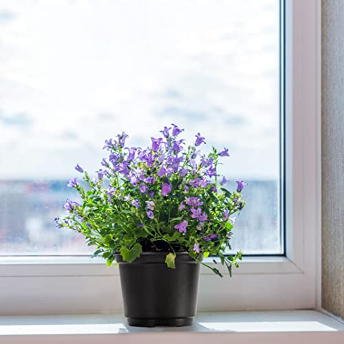 Mixc Plant Nursery Pots With Humidity Dome 4" Soft Transparent Plastic Gardening Pot Planting Containers Cups Planter Small Starter Seed Starting Trays For Seedling With 10Pcs Plant Labels，30 Sets… #TOP5
