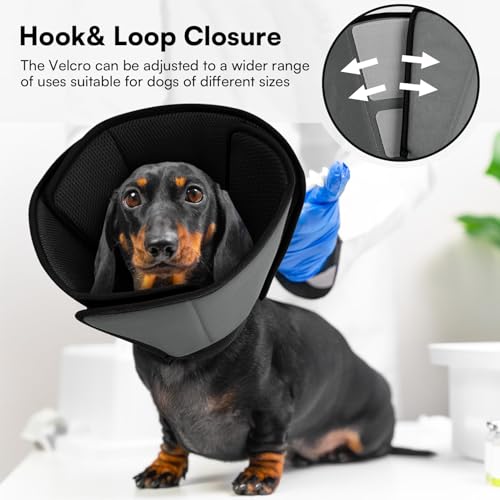 Image of Queenmore Soft Dog Cone Collar, Comfortable Cones for Small Dogs /Cat