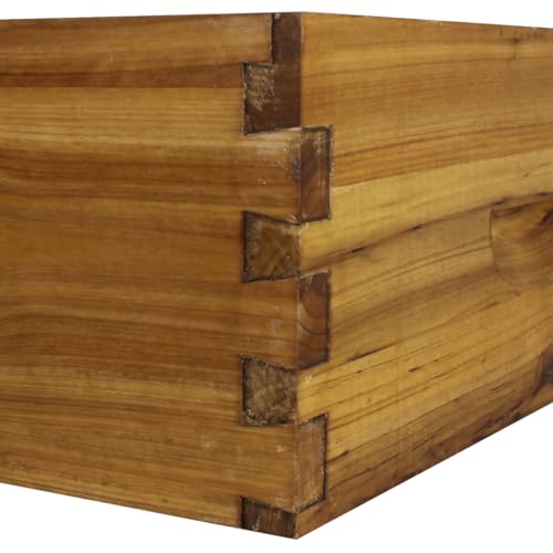 Wax-Coated 10 Frame Beehive - (1) Deep & (1) Medium Unassembled - Thumbnail 6