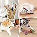 Fashion's Talk Cat Toys Variety Pack for Kitty 20 Pieces